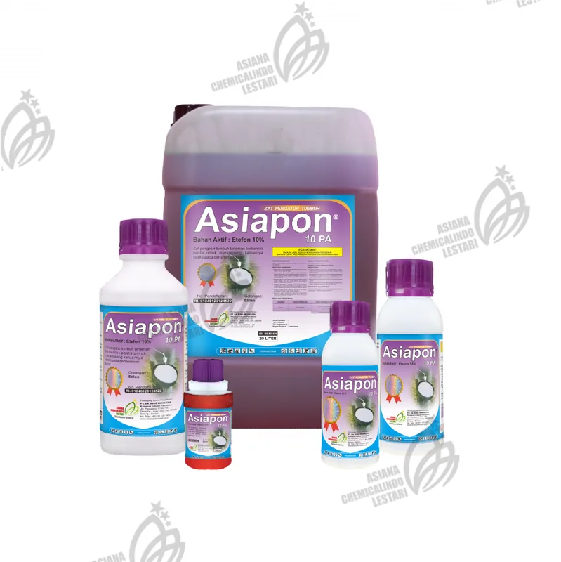Kemasan ASIAPON 10 PA