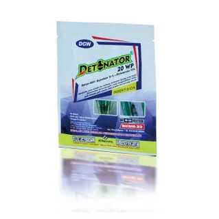 Kemasan DETONATOR 20 WP