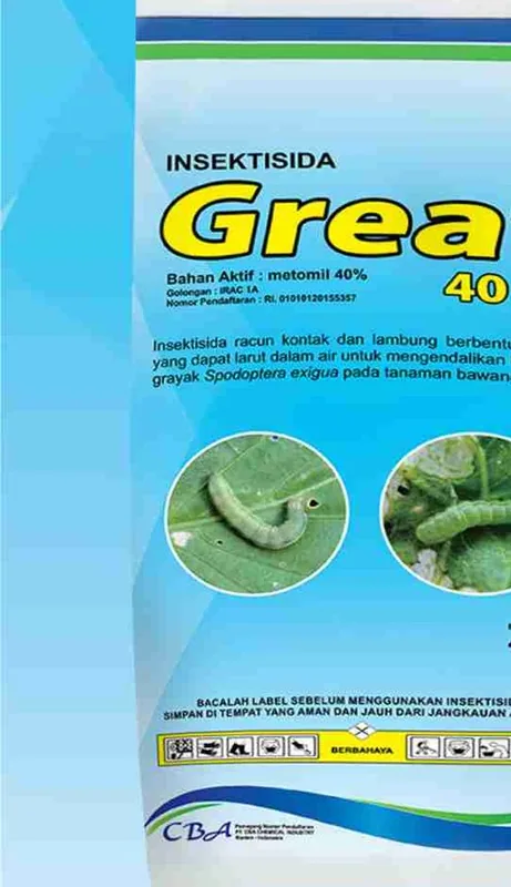 Kemasan GREAT 40 SP