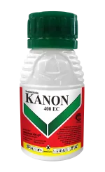 Kemasan KANON RX 100 EC