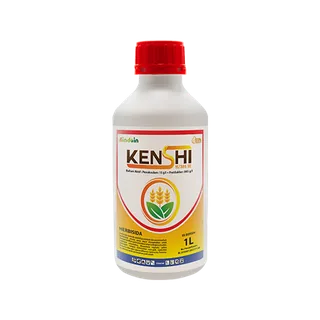 Kemasan KENSHI 15/385 SE