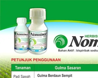 Kemasan NOMINEE 103 OF