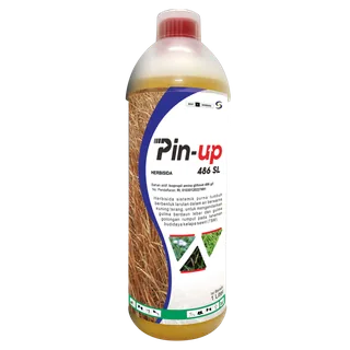 Kemasan PIN-UP 486 SL
