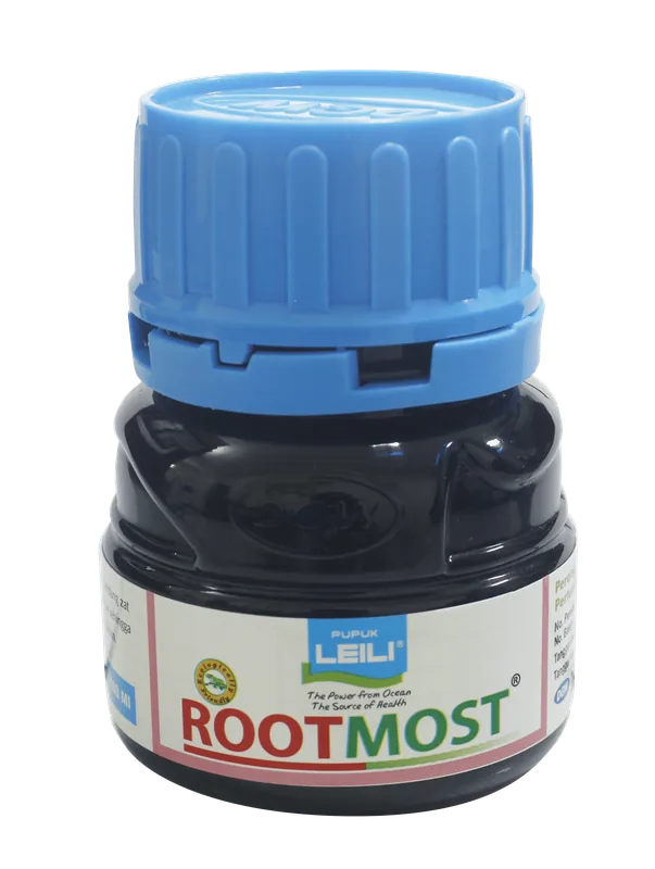 Kemasan ROOTMOST