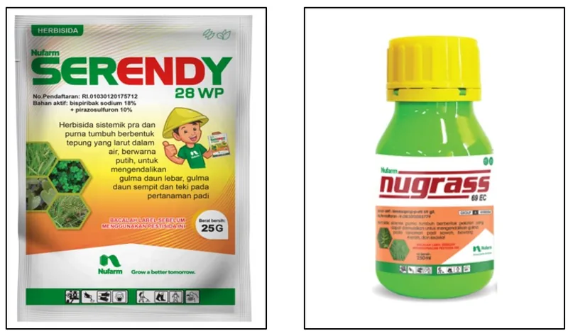 Kemasan SERENDY 18/10 WP